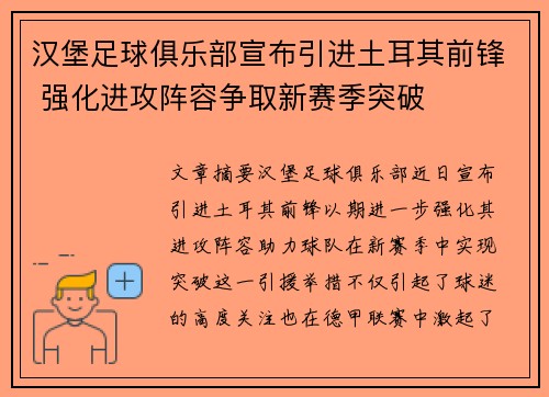 汉堡足球俱乐部宣布引进土耳其前锋 强化进攻阵容争取新赛季突破