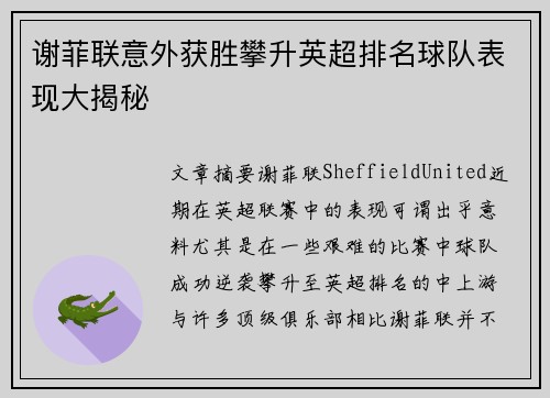 谢菲联意外获胜攀升英超排名球队表现大揭秘