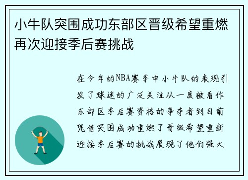 小牛队突围成功东部区晋级希望重燃再次迎接季后赛挑战